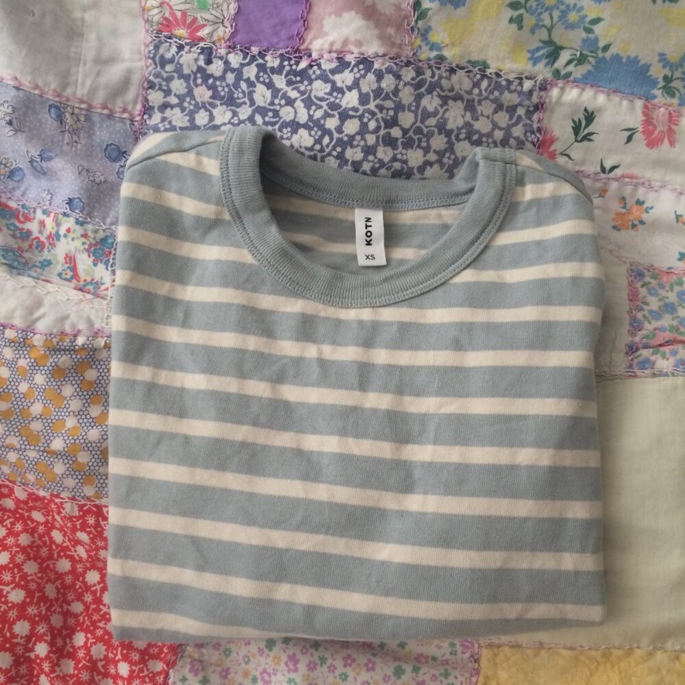 KOTN Women's Heavyweight Crop Tee (size XS)